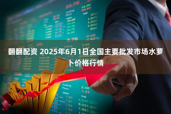 翻翻配资 2025年6月1日全国主要批发市场水萝卜价格行情