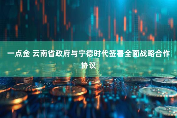 一点金 云南省政府与宁德时代签署全面战略合作协议