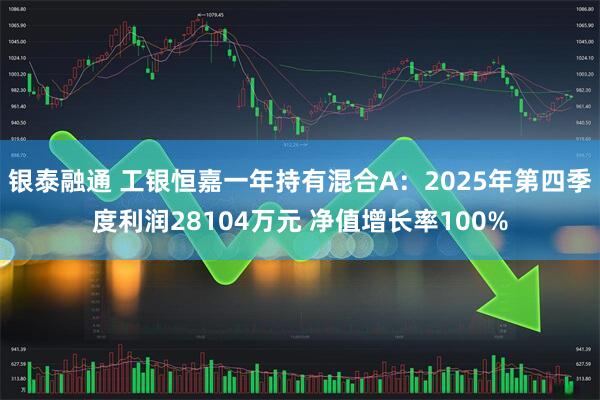 银泰融通 工银恒嘉一年持有混合A:2025年第四季度利润28104万元 净值增长率100%